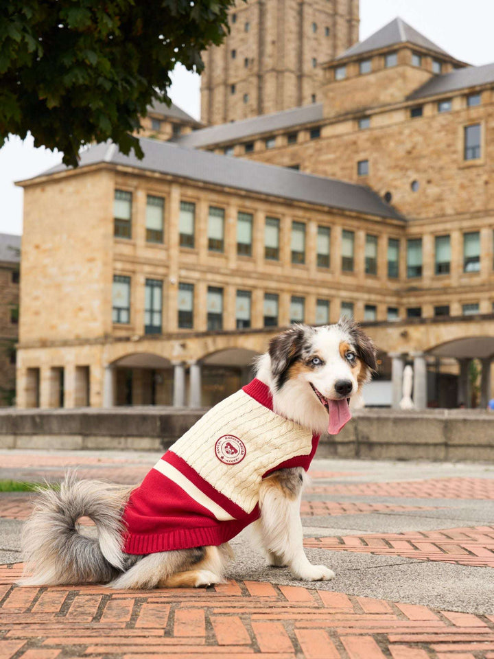 JERSEY PARA PERRO RED
