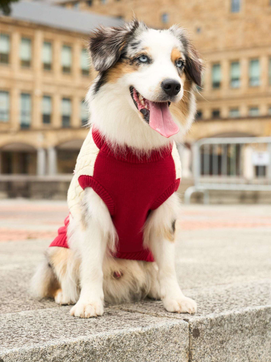 JERSEY PARA PERRO RED