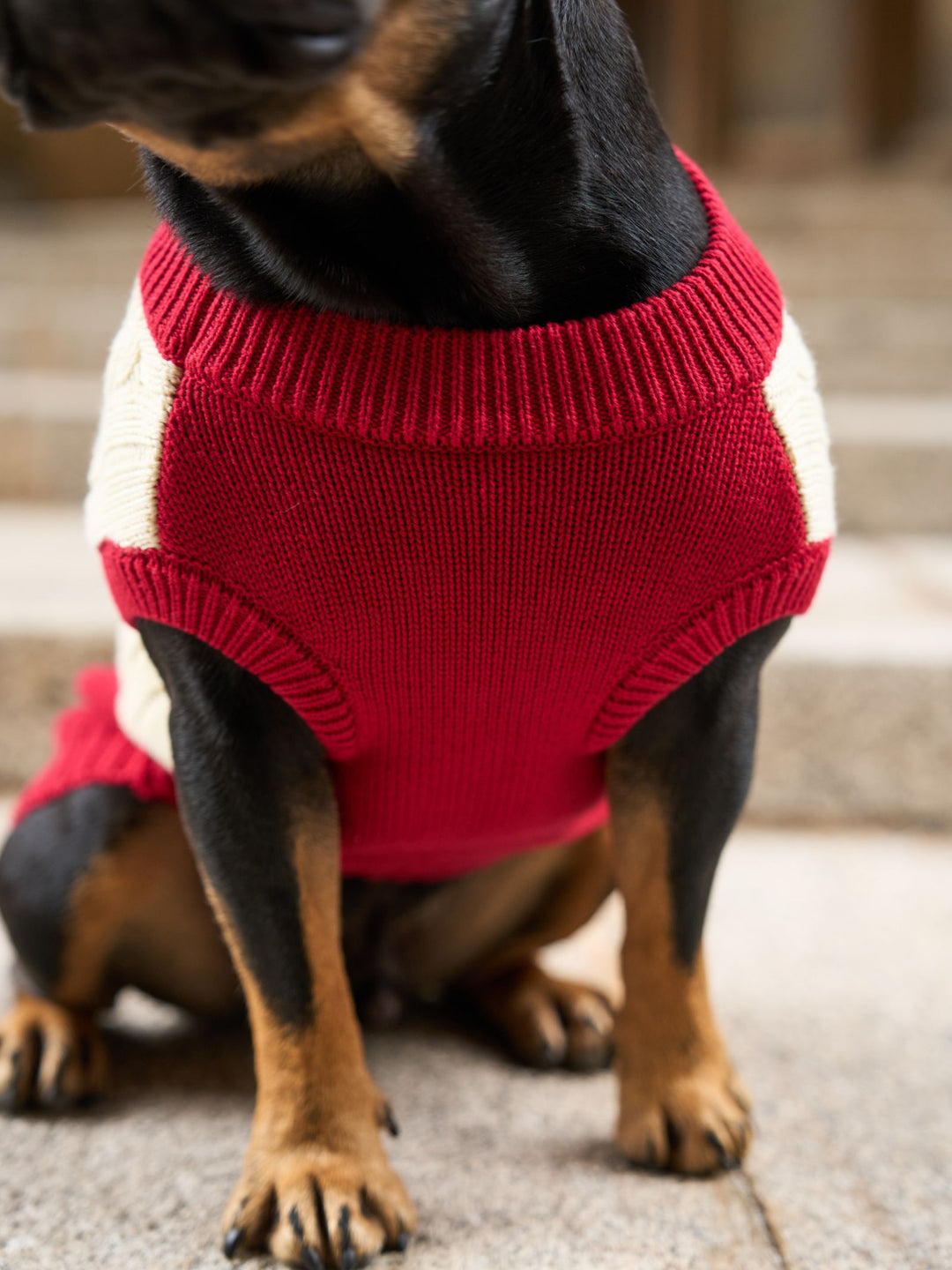 DOG SWEATER RED
