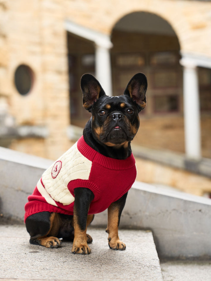DOG SWEATER RED