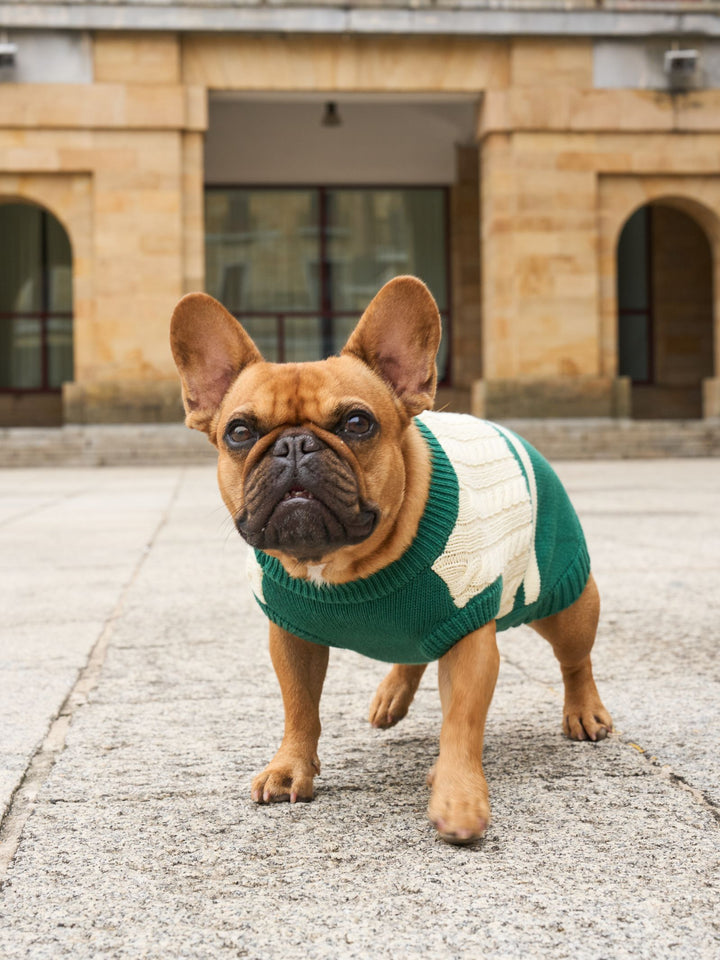 DOG SWEATER GREEN