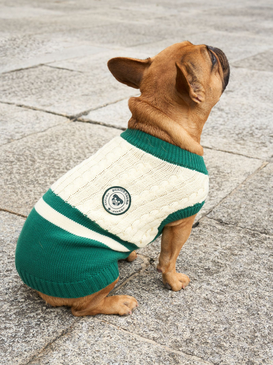 DOG SWEATER GREEN
