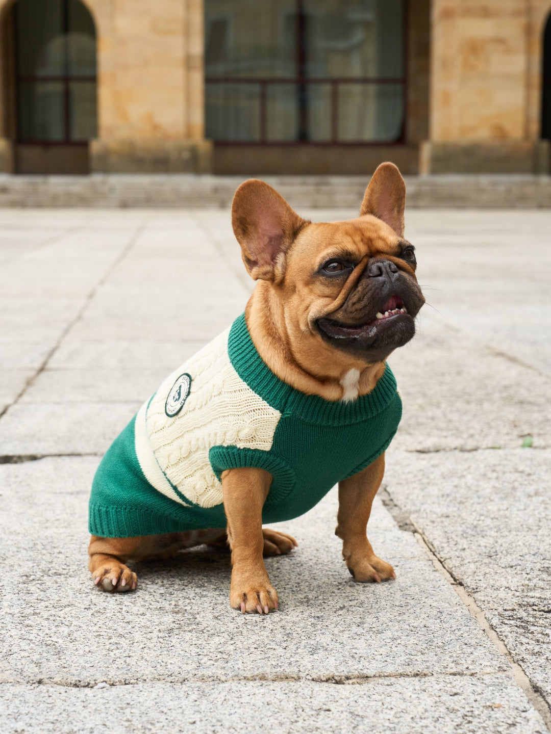 DOG SWEATER GREEN