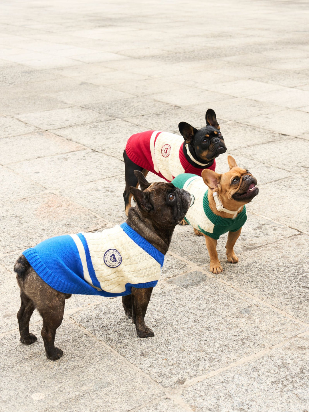 DOG SWEATER BLUE