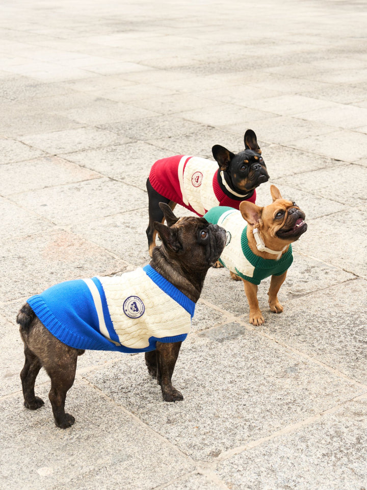 DOG SWEATER BLUE