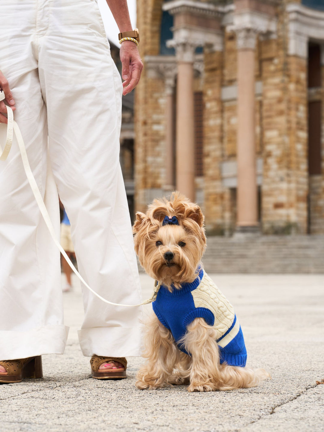 DOG SWEATER BLUE