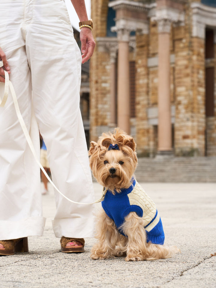 DOG SWEATER BLUE