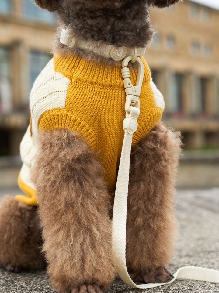 DOG SWEATER YELLOW