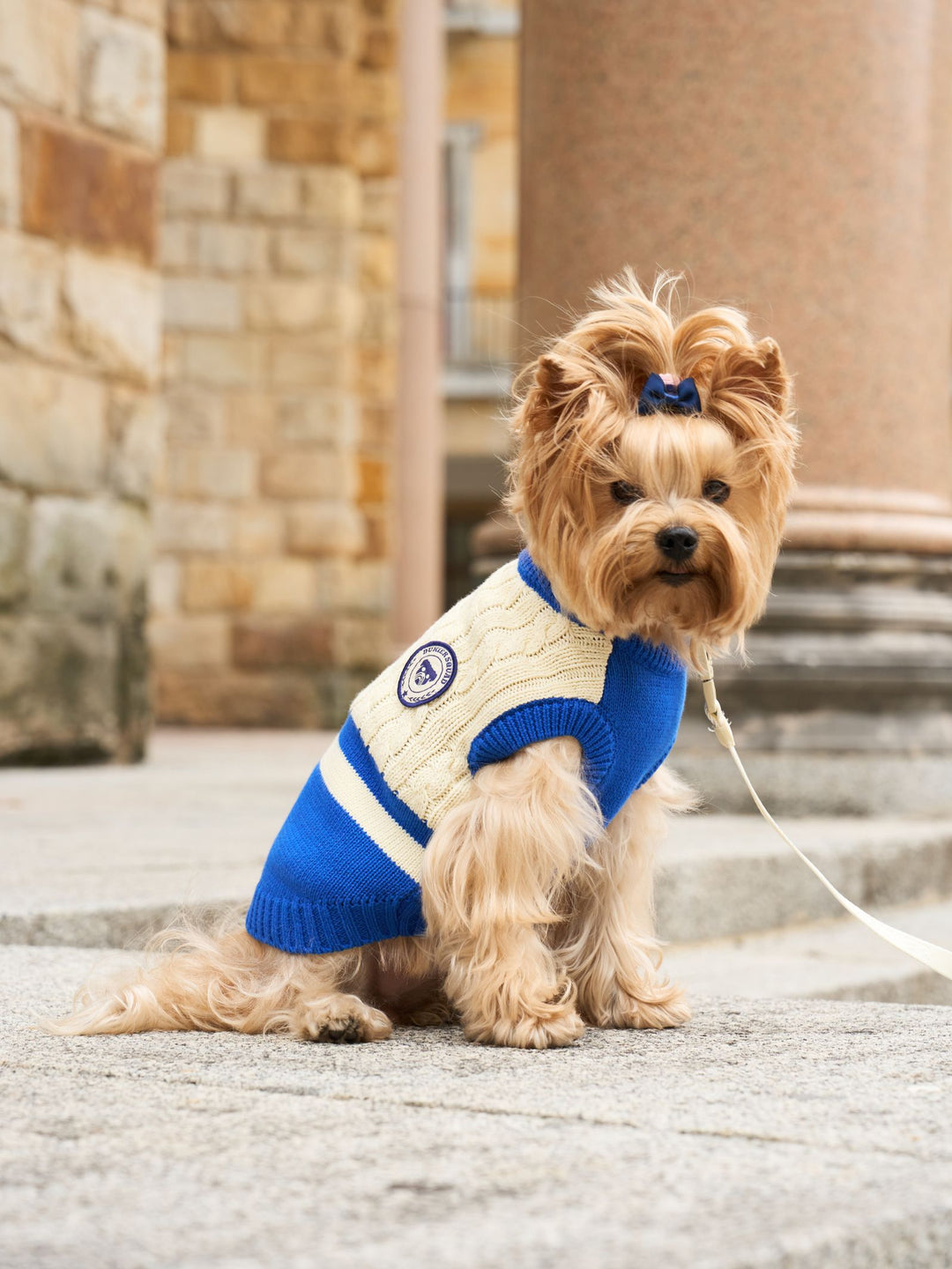 DOG SWEATER BLUE