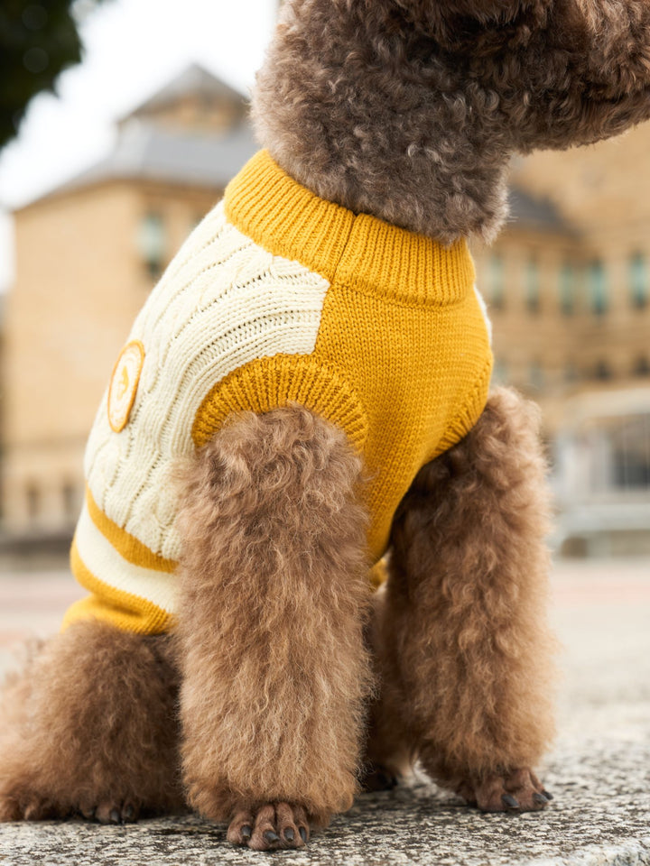 DOG SWEATER YELLOW