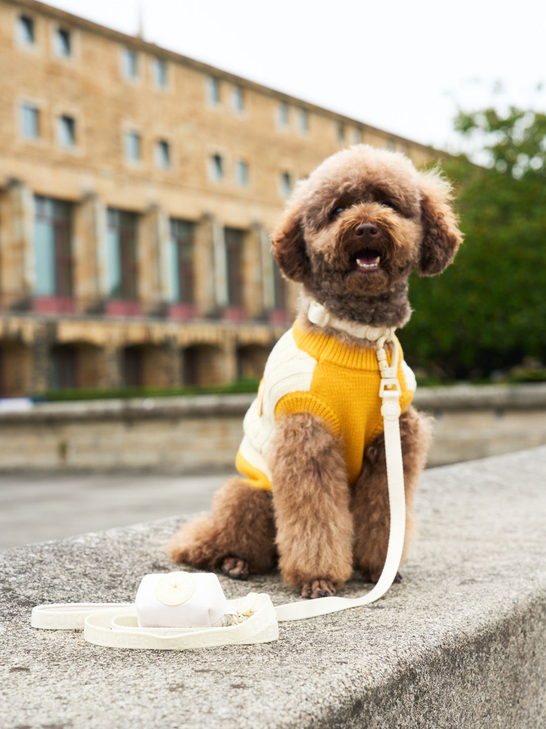 DOG SWEATER YELLOW