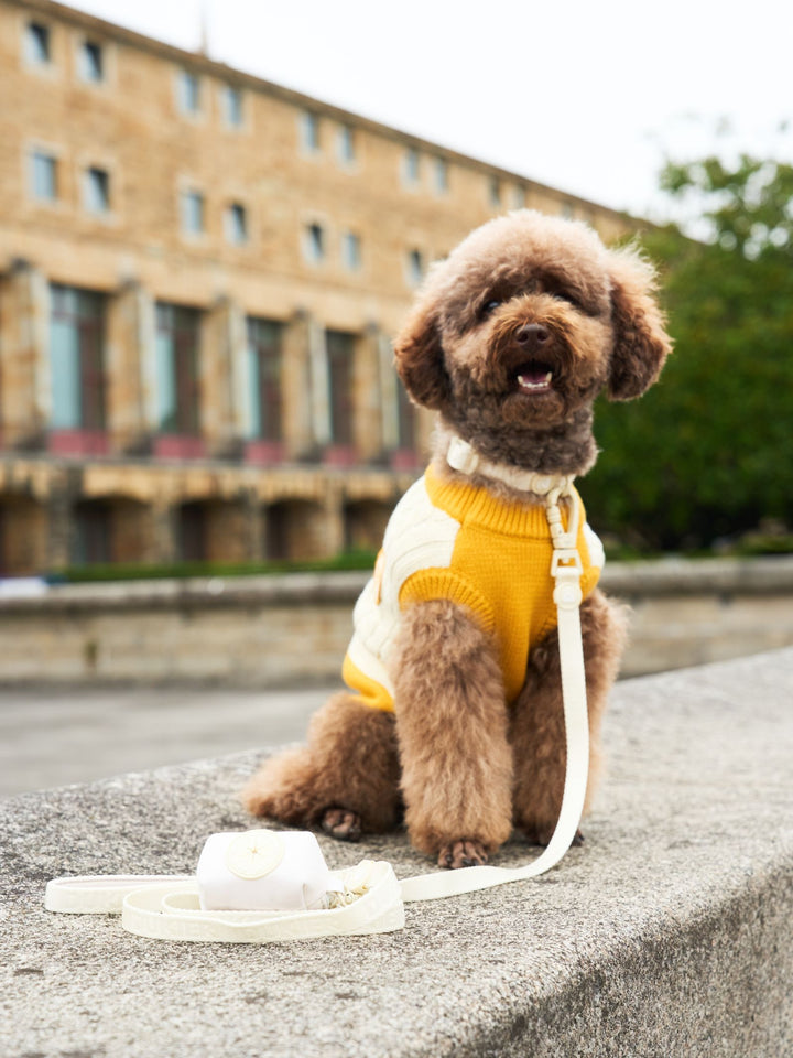 DOG SWEATER YELLOW