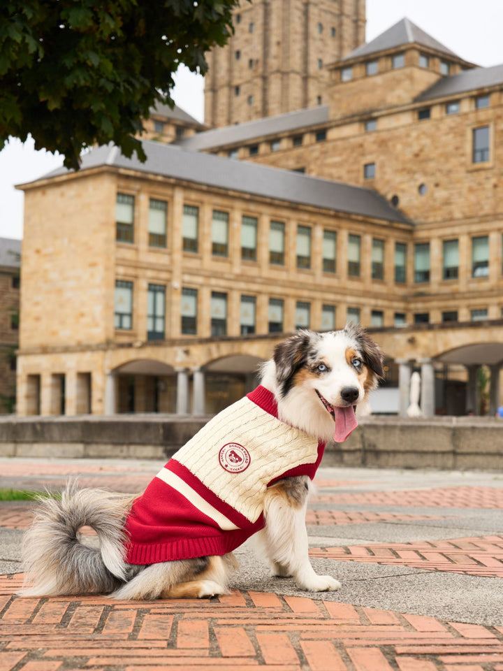 DOG SWEATER RED