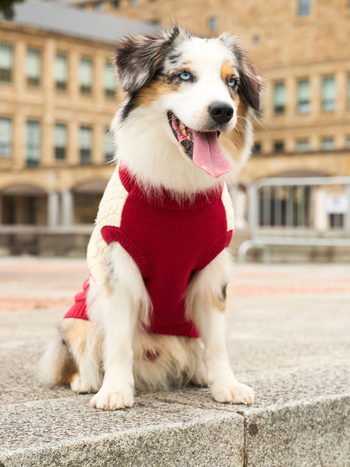 DOG SWEATER RED