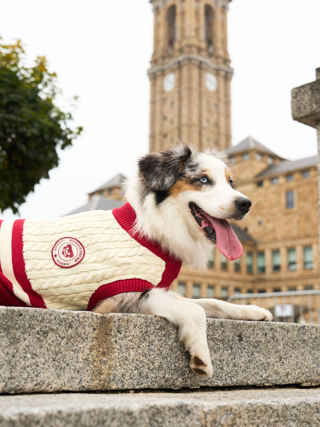 DOG SWEATER RED
