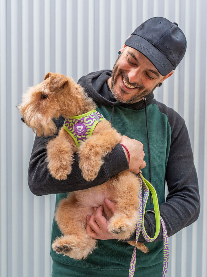 HARNAIS BODY KALEIDO LIME SWIRL POUR CHIEN