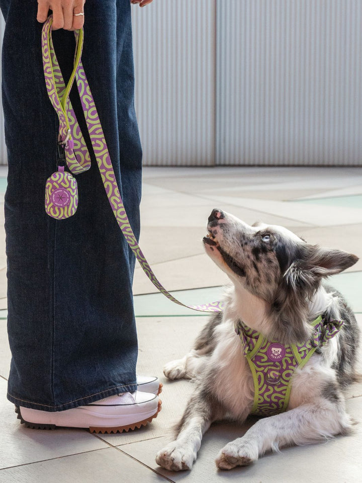 PORTE-SACS POUR CHIEN KALEIDO LIME SWIRL