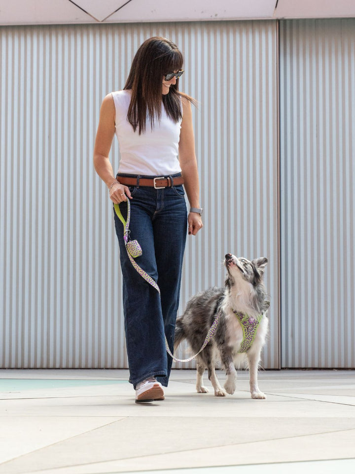 LAISSE KALEIDO LIME SWIRL POUR CHIEN