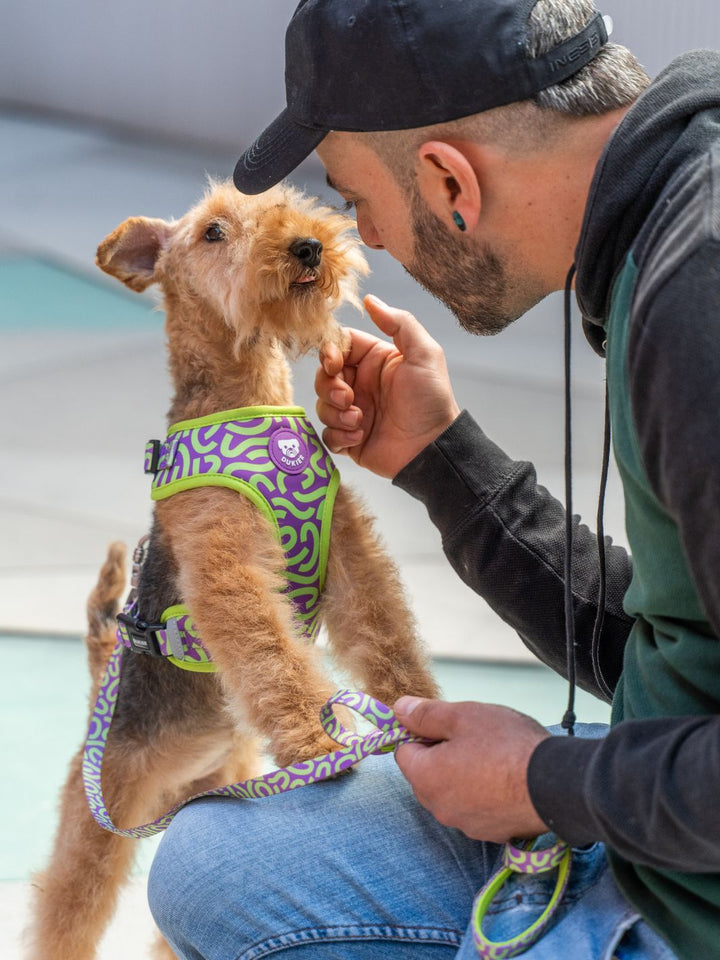 HARNAIS RÉGLABLE KALEIDO LIME SWIRL POUR CHIEN