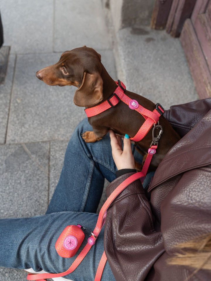 HARNAIS CLASSIQUE KALEIDO PINK GRID POUR CHIEN