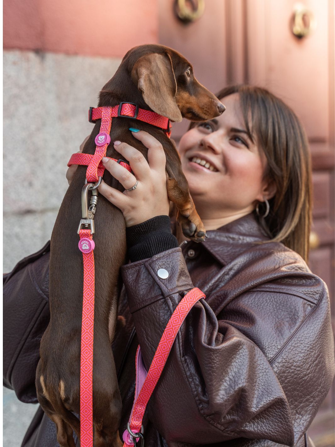 HARNAIS CLASSIQUE KALEIDO PINK GRID POUR CHIEN
