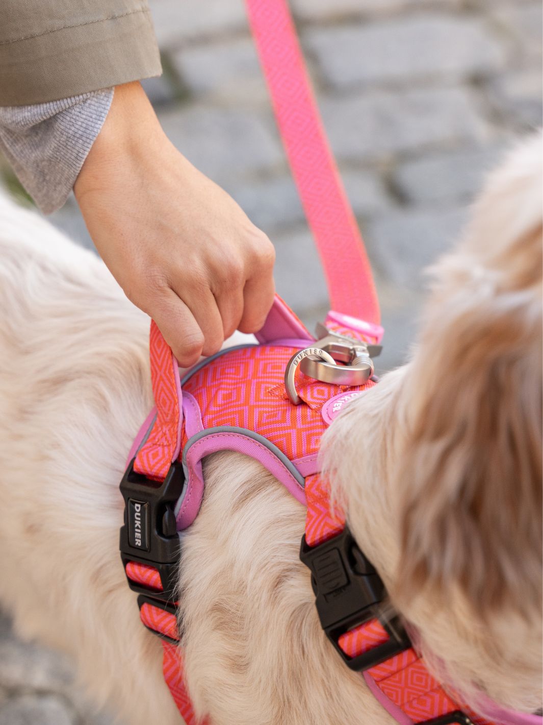 HARNAIS TRAIL KALEIDO PINK GRID POUR CHIEN