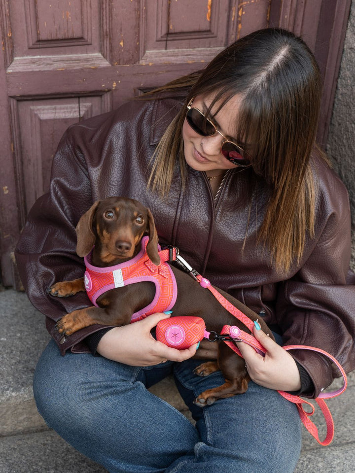 HARNAIS BODY KALEIDO PINK GRID POUR CHIEN
