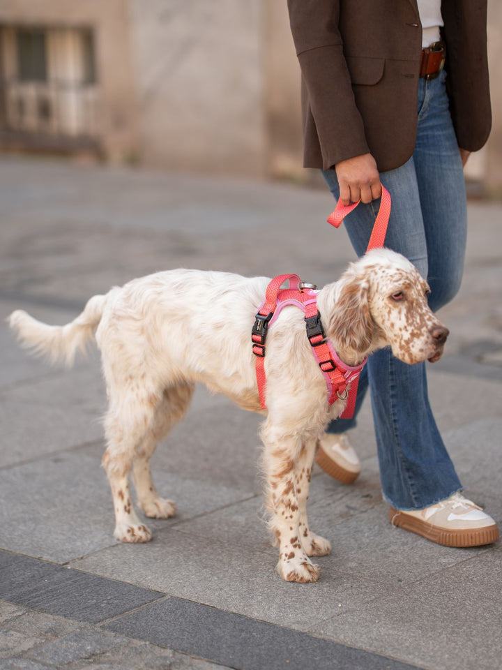 HARNAIS TRAIL KALEIDO PINK GRID POUR CHIEN