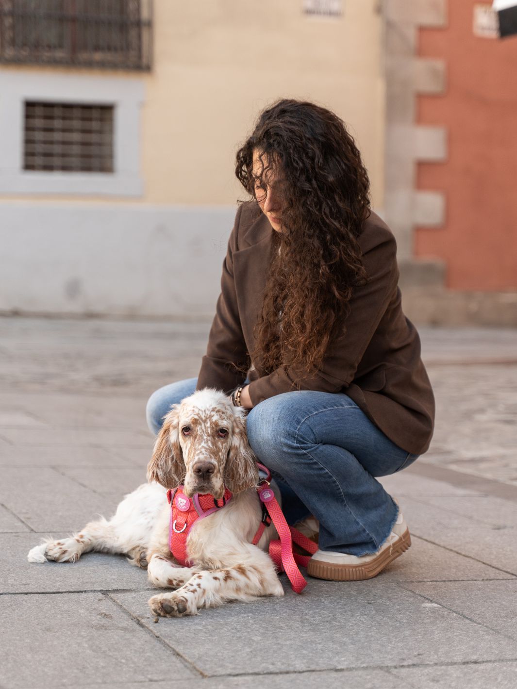 HARNAIS TRAIL KALEIDO PINK GRID POUR CHIEN