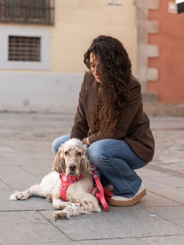 HARNAIS TRAIL KALEIDO PINK GRID POUR CHIEN