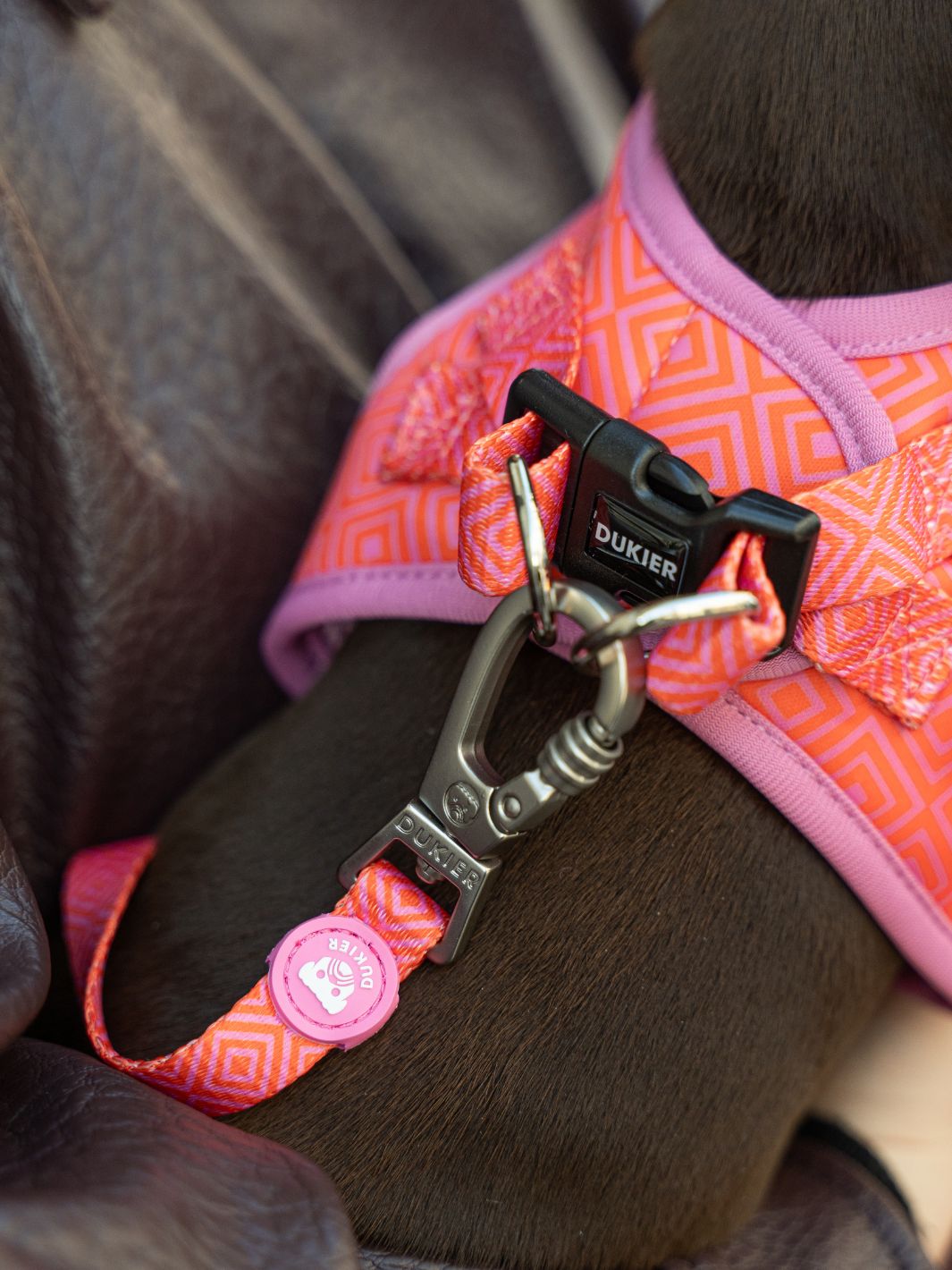 HARNAIS BODY KALEIDO PINK GRID POUR CHIEN