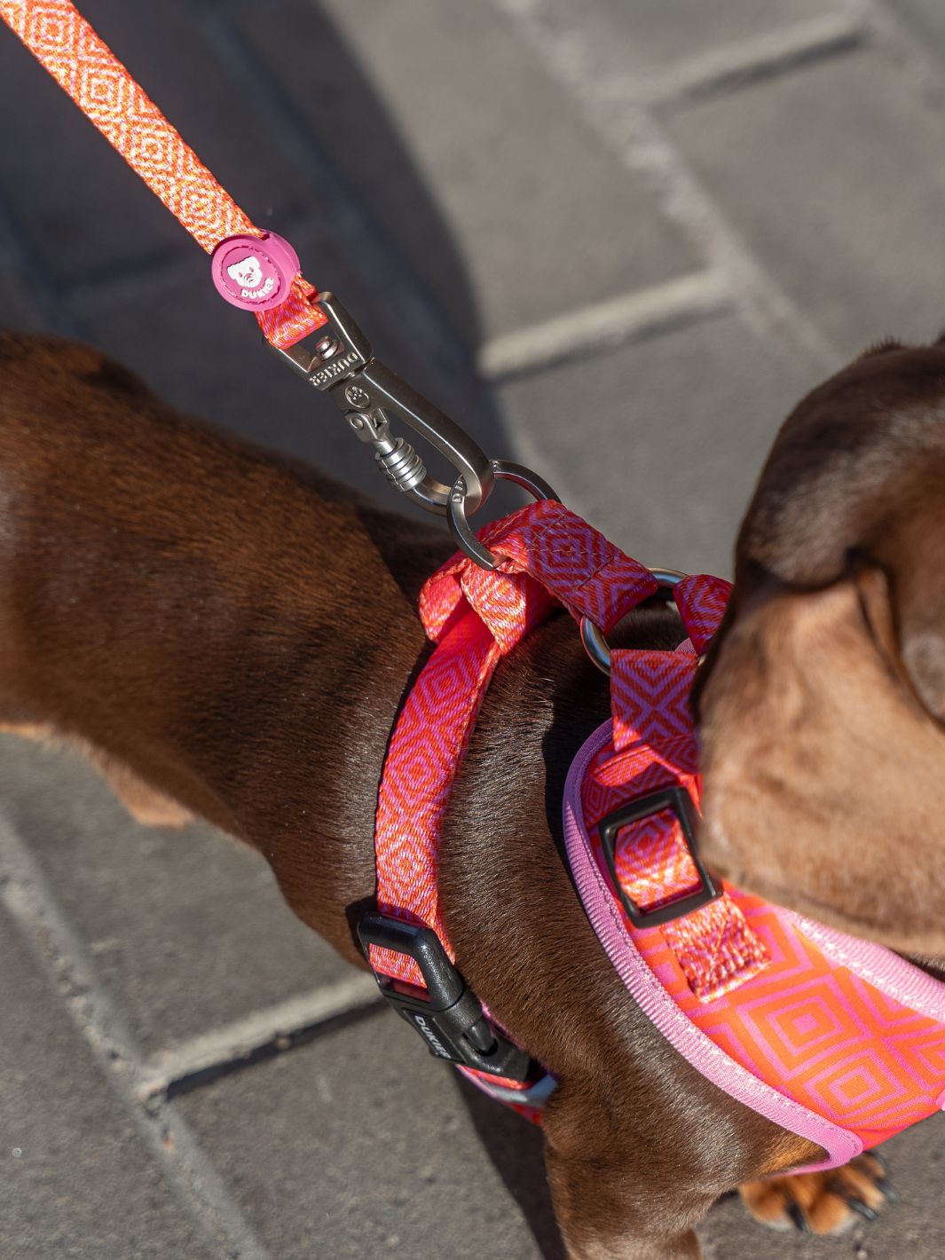 ARNÉS AJUSTABLE PARA PERRO KALEIDO PINK GRID