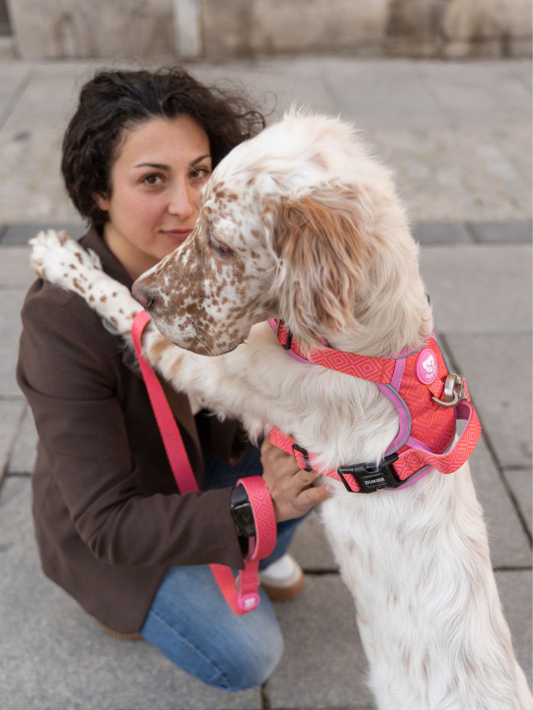 HARNAIS TRAIL KALEIDO PINK GRID POUR CHIEN