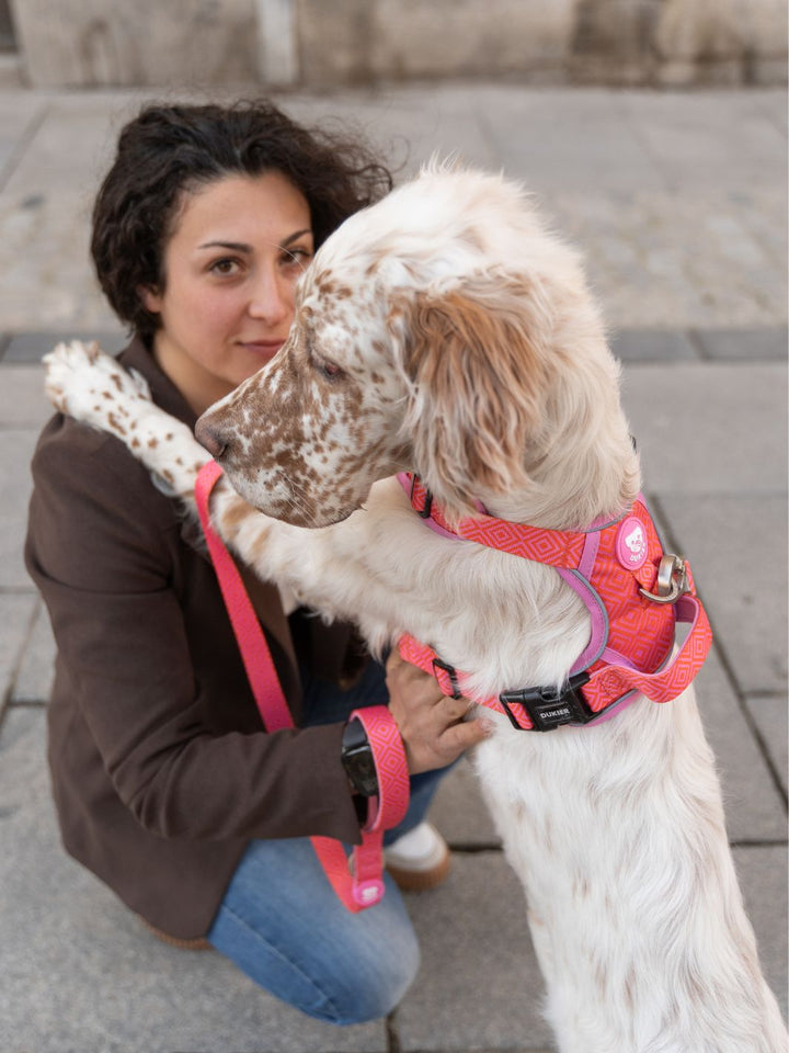 HARNAIS TRAIL KALEIDO PINK GRID POUR CHIEN
