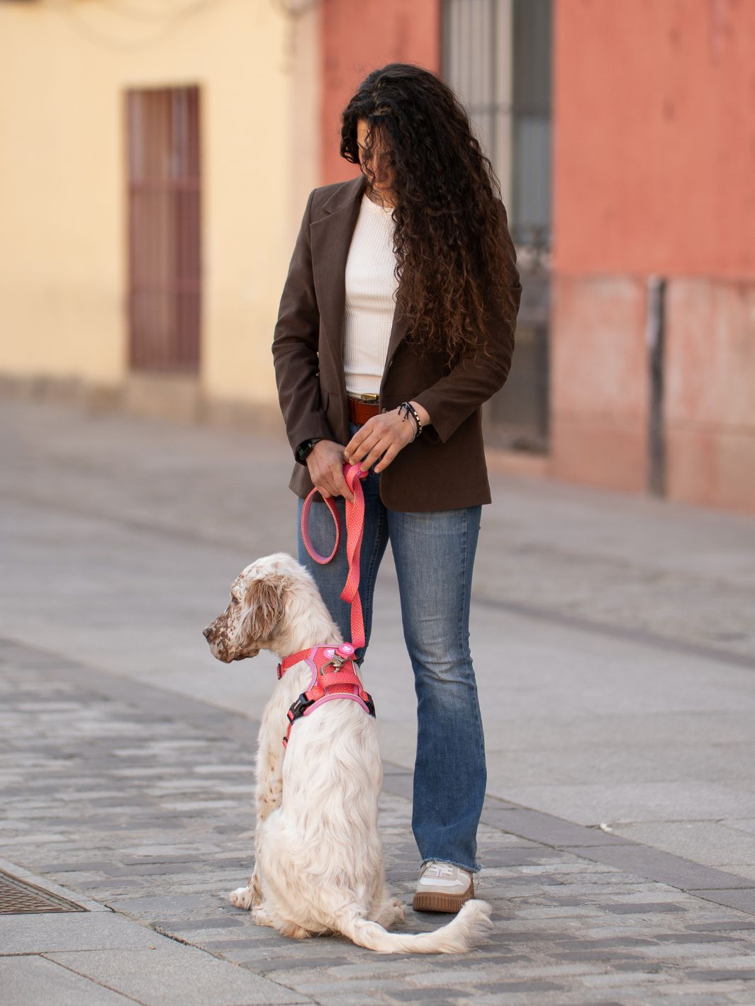 HARNAIS TRAIL KALEIDO PINK GRID POUR CHIEN