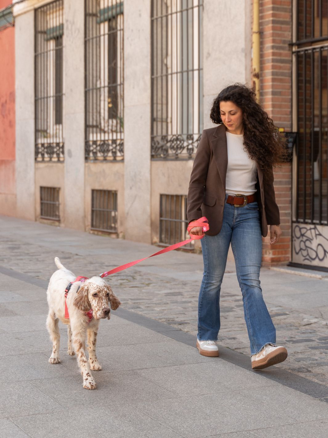 HARNAIS TRAIL KALEIDO PINK GRID POUR CHIEN