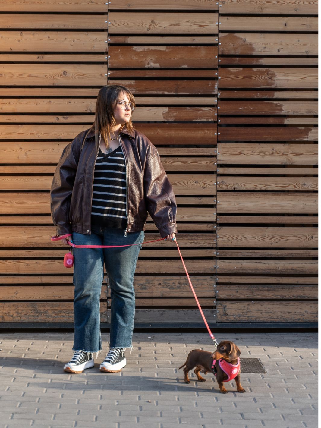 CORREA PARA PERRO KALEIDO PINK GRID