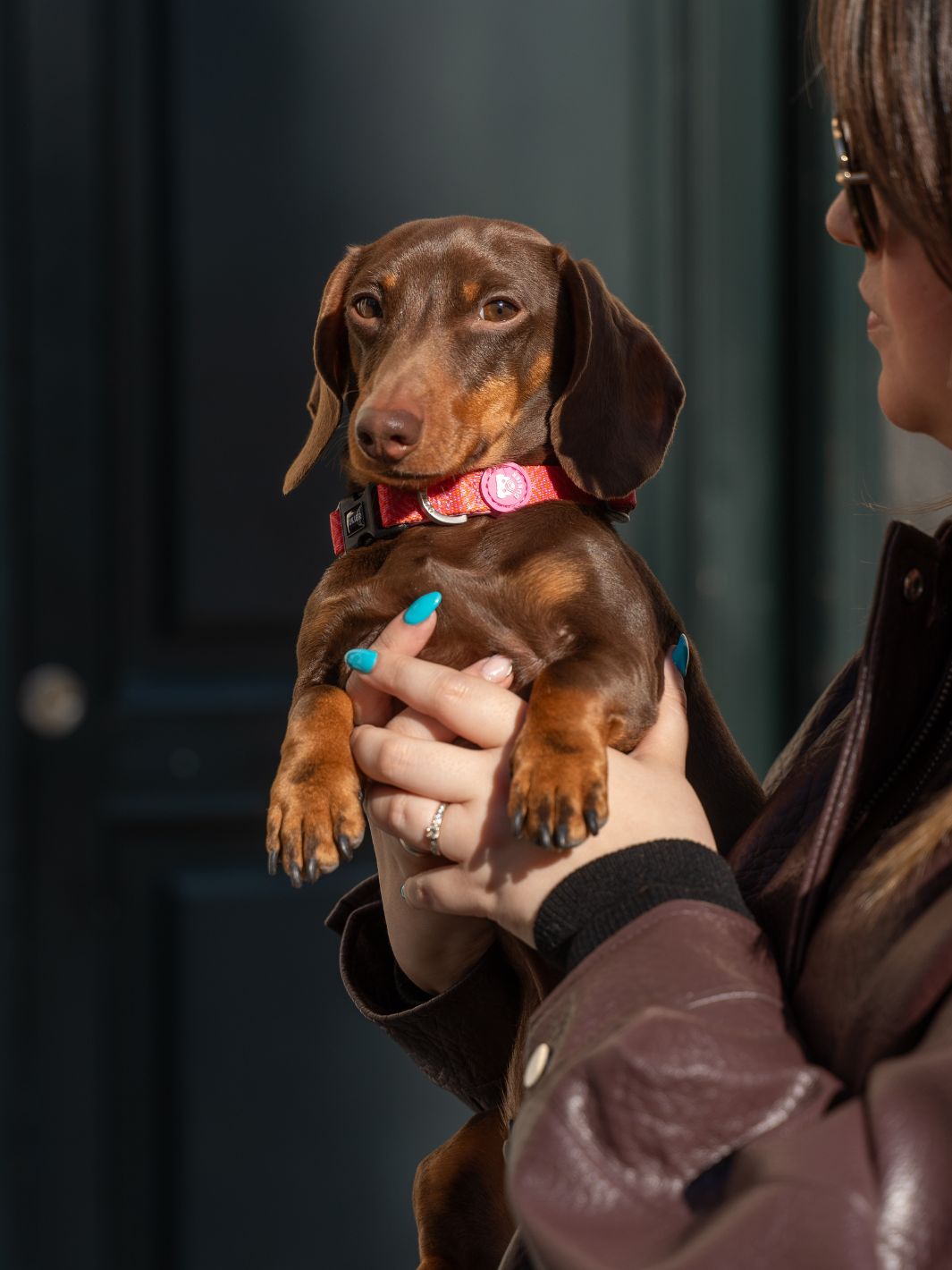 COLLAR PARA PERRO KALEIDO PINK GRID