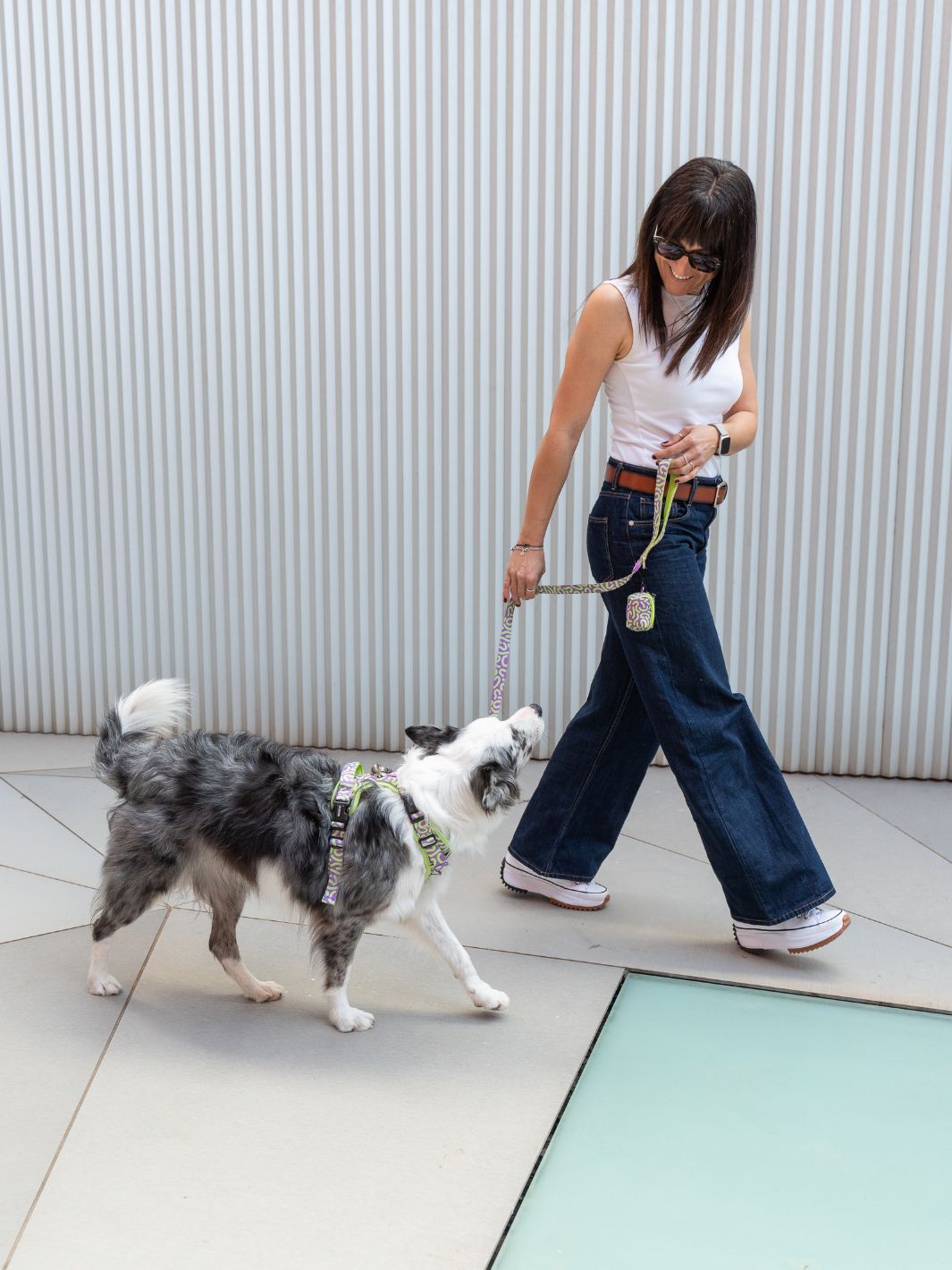 HARNAIS TRAIL KALEIDO LIME SWIRL POUR CHIEN