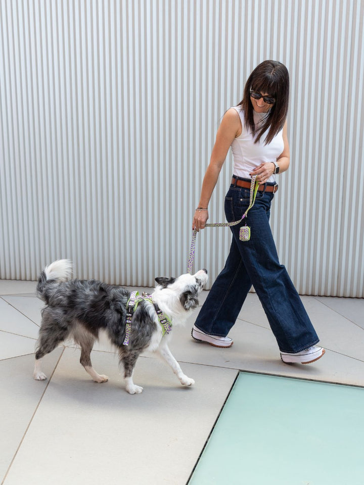 HARNAIS TRAIL KALEIDO LIME SWIRL POUR CHIEN