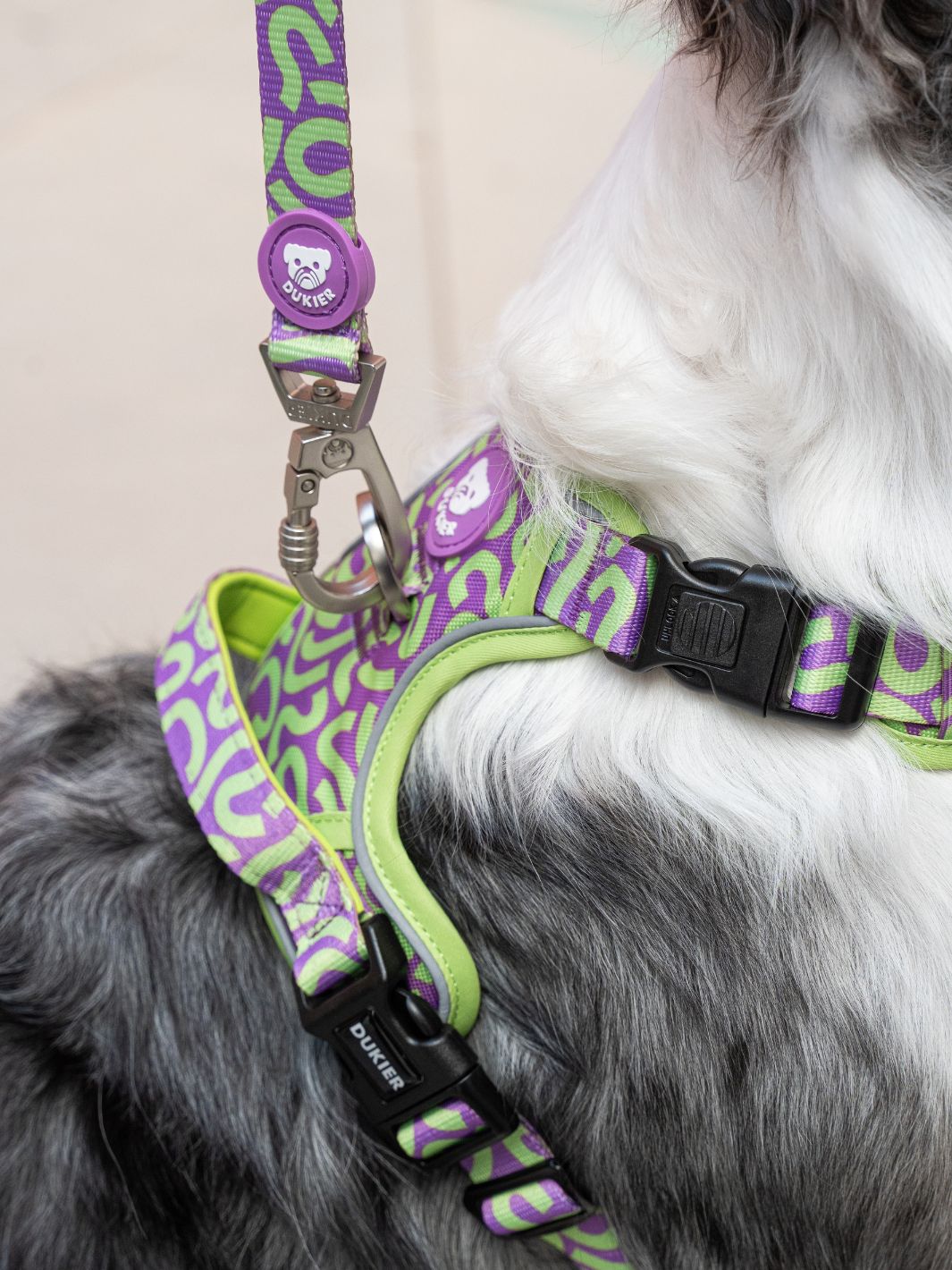 HARNAIS TRAIL KALEIDO LIME SWIRL POUR CHIEN