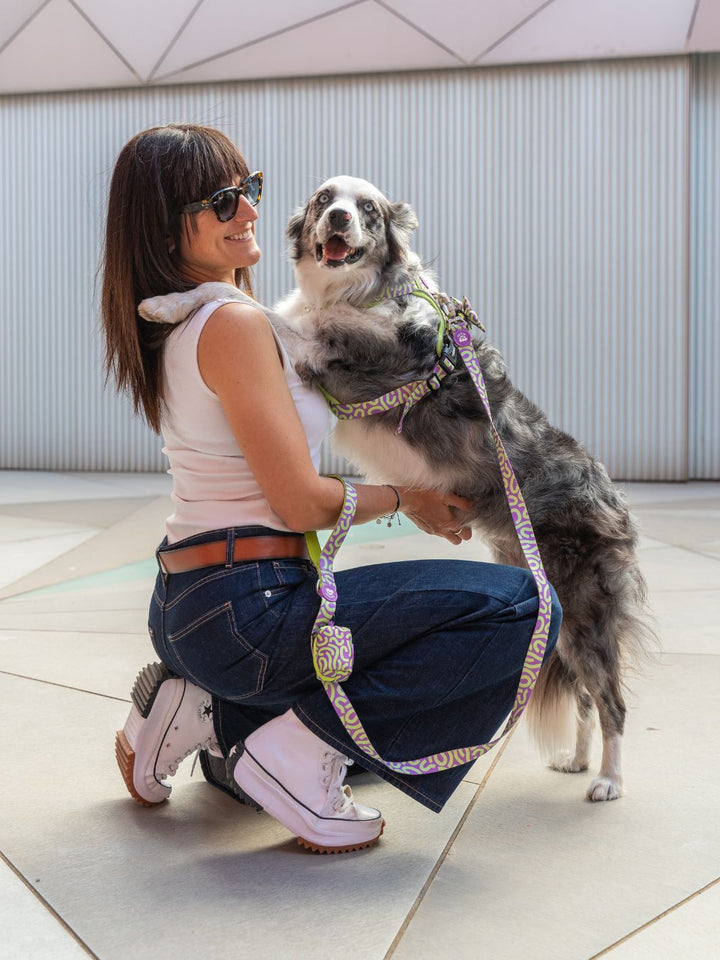 HARNAIS TRAIL KALEIDO LIME SWIRL POUR CHIEN