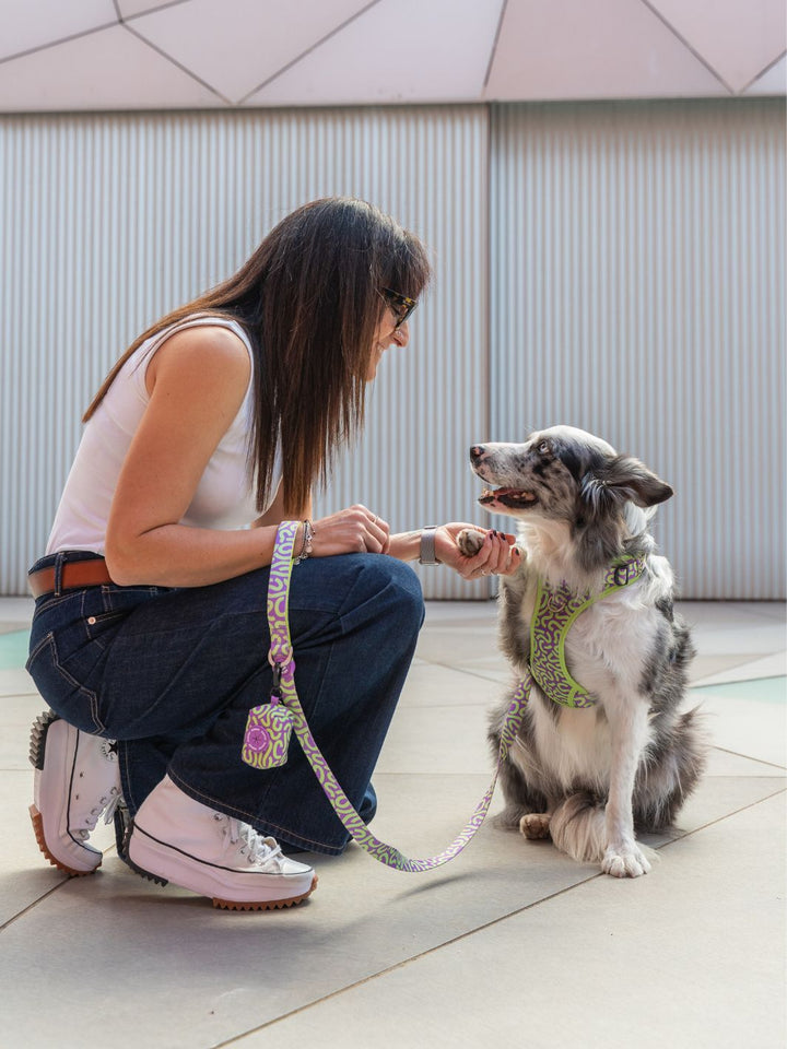 HARNAIS TRAIL KALEIDO LIME SWIRL POUR CHIEN