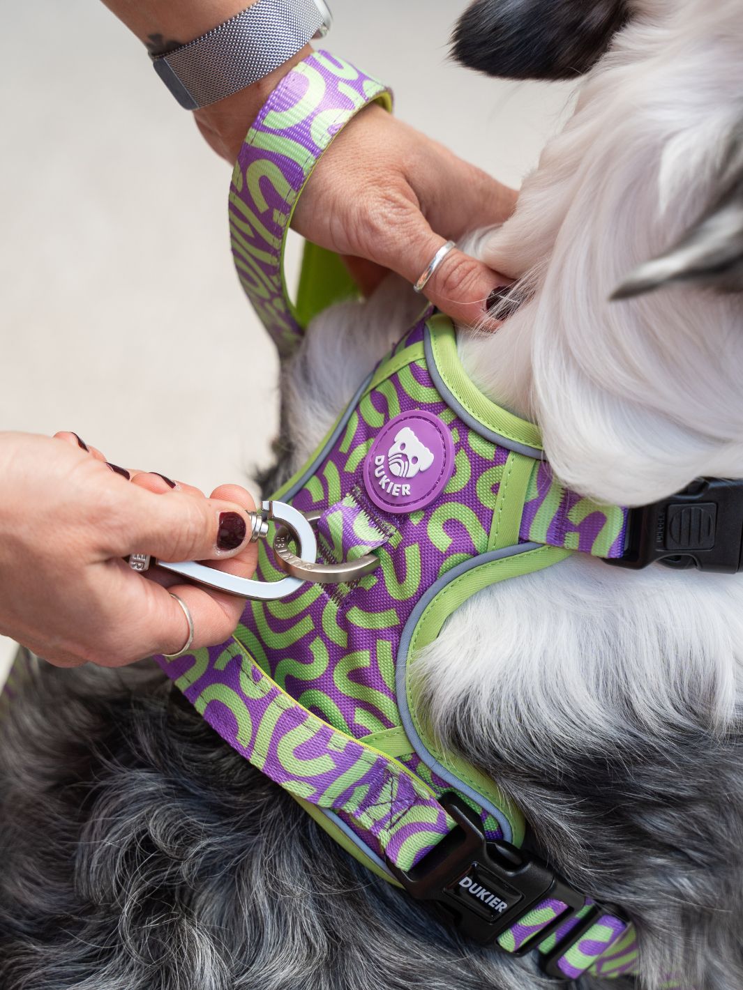 HARNAIS TRAIL KALEIDO LIME SWIRL POUR CHIEN