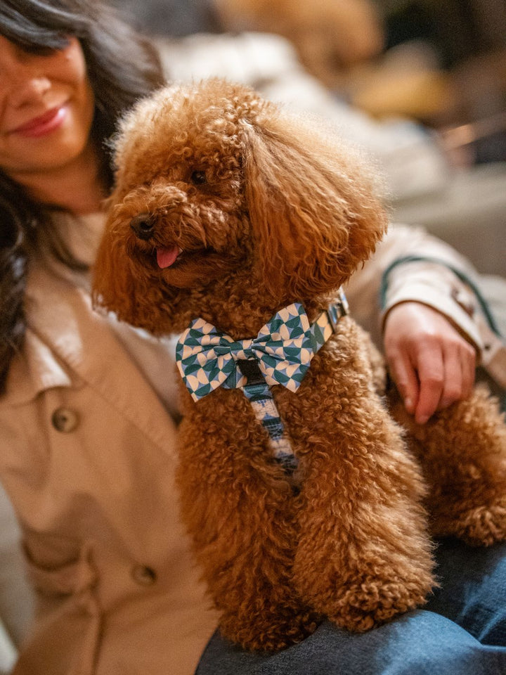 NOEUD PAPILLON KALEIDO RETRO TIDE POUR CHIEN