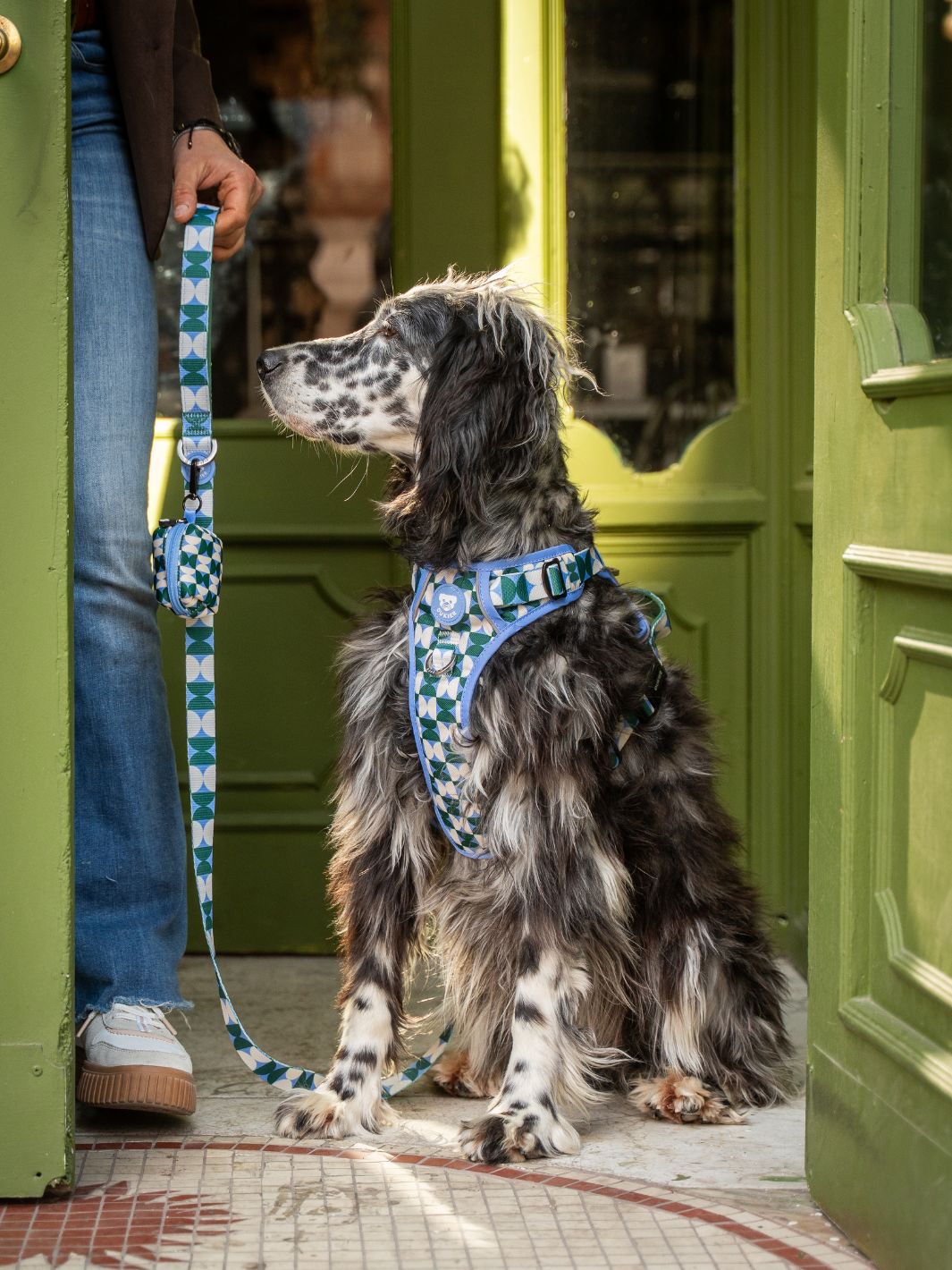 LAISSE KALEIDO RETRO TIDE POUR CHIEN