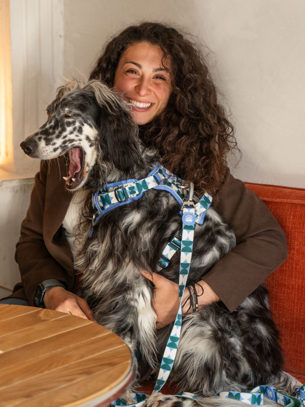 HARNAIS TRAIL KALEIDO RETRO TIDE POUR CHIEN