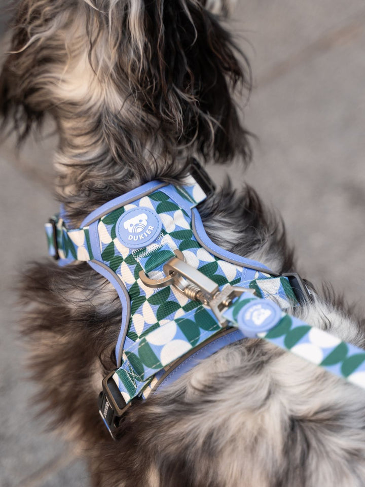 HARNAIS TRAIL KALEIDO RETRO TIDE POUR CHIEN