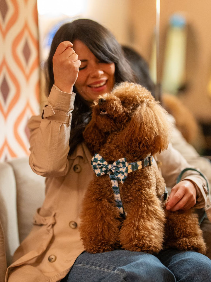 NOEUD PAPILLON KALEIDO RETRO TIDE POUR CHIEN