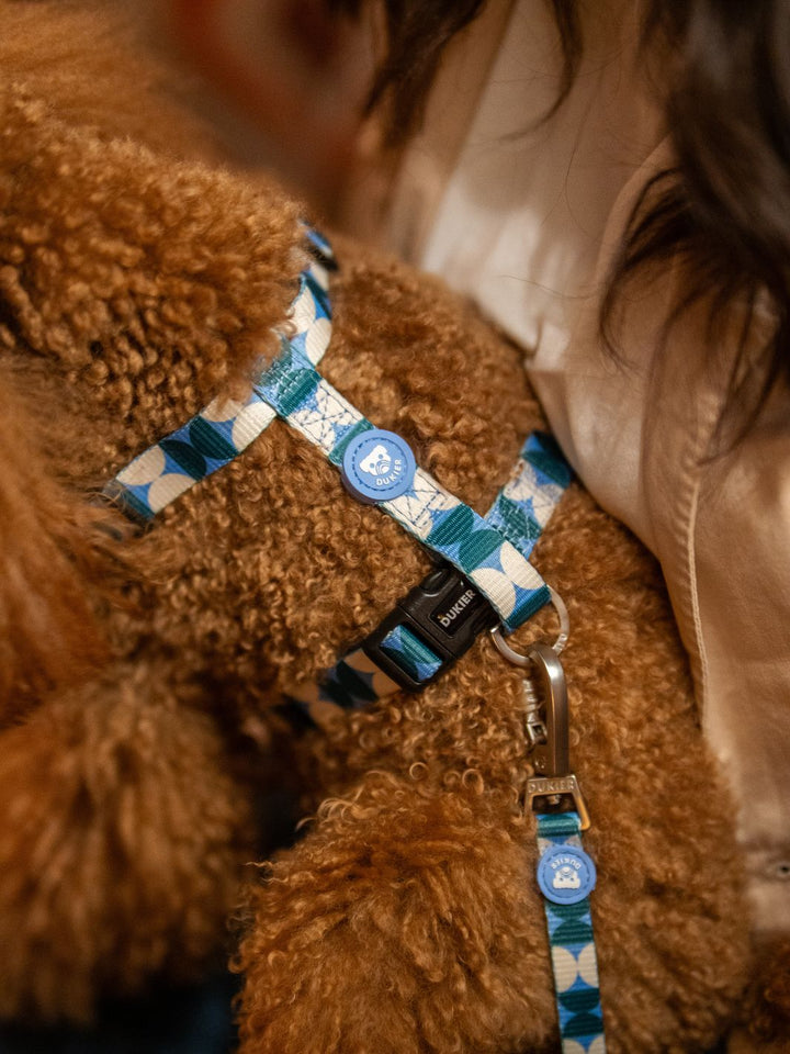 HARNAIS CLASSIQUE KALEIDO RETRO TIDE POUR CHIEN